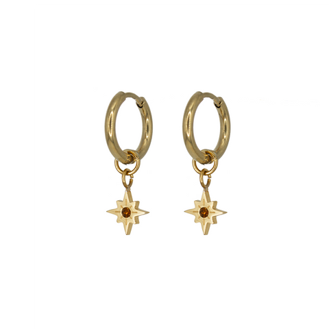 Madam the Label oorringen twisted brown star goud 