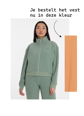 Ragwear bolanee Sweatshirt dusty orange