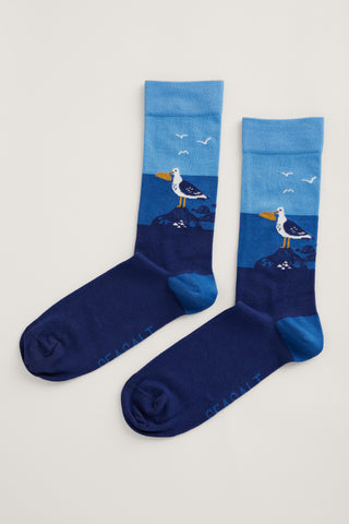 Seasalt Cornwall men's arty socks seagull rockpool maritime B-AC18599-28457