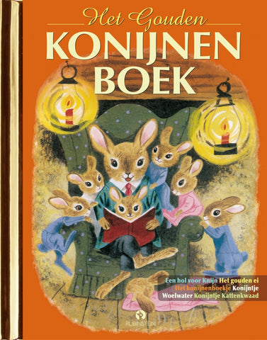 Boek het gouden konijnenboek 9789047622932