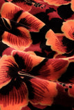 King Louie Anja dress ceylon true red 05619651: velours jurk met bloemenprint